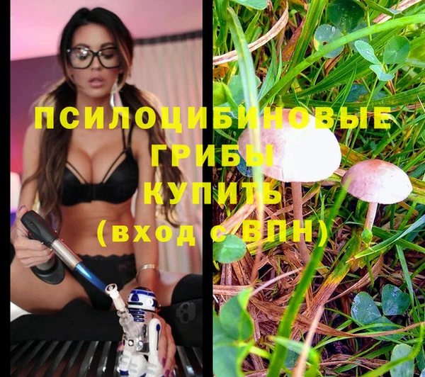 ГАЛЛЮЦИНОГЕННЫЕ ГРИБЫ Армянск