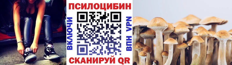 Купить  Волчанск  Псилоцибиновые грибы ЛСД 